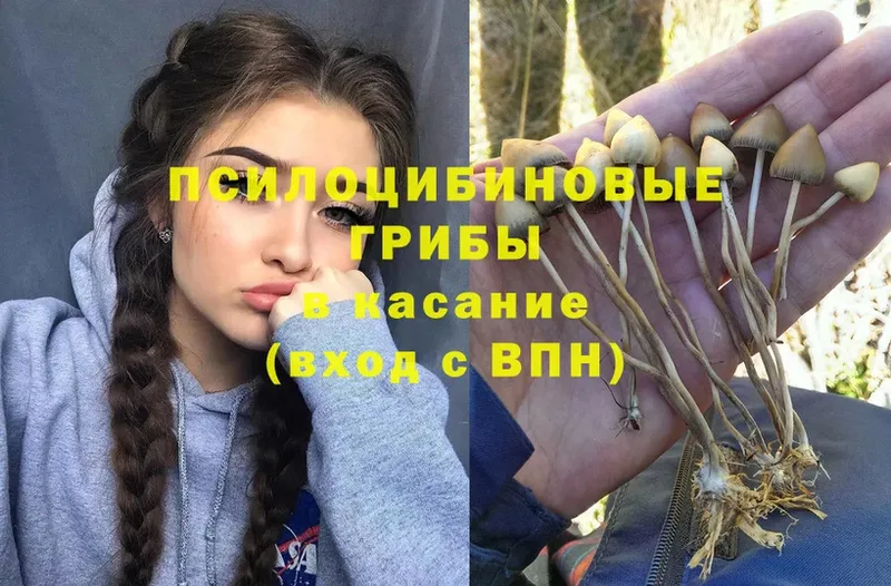 Галлюциногенные грибы GOLDEN TEACHER  как найти наркотики  Камешково 